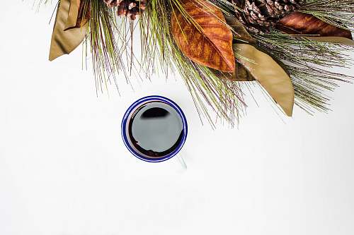 mulled wine blue and black container beside plants christmas